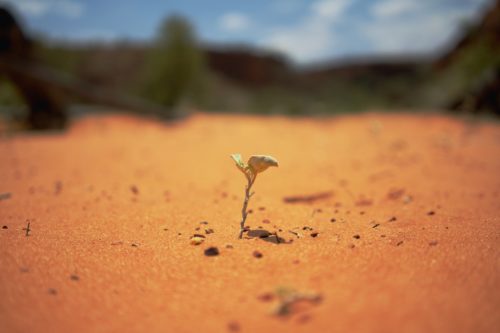 Finding Hope and Healing After Childhood Trauma