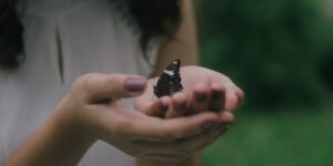 What is Trauma-Informed Therapy? 5 Key Points 1
