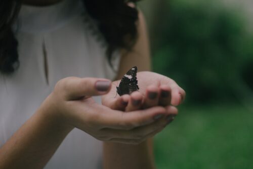 What is Trauma-Informed Therapy? 5 Key Points 1
