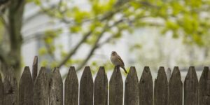 Bullying Prevention Strategies for School and Home