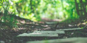 Creating Your Personal Development Plan: Tips for Personal Growth 1