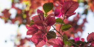 Group Counseling: What it is and How it Works 2