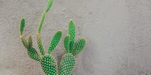 Dealing with Emotional Neglect in Marriage