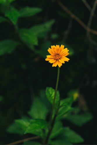 How to Overcome Women's Insecurities