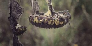 How to Stop Being Codependent 4