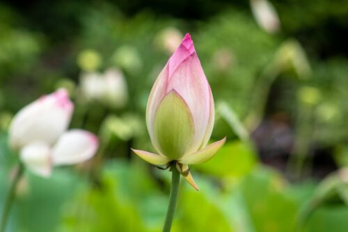 How to Stop Being Codependent